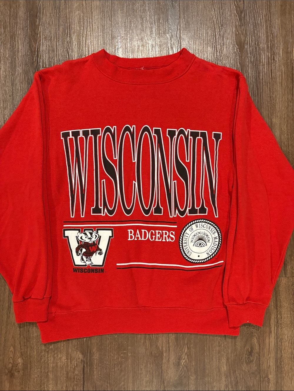 Vintage University of Wisconsin men’s medium crewneck 1980s